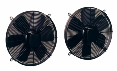 fans